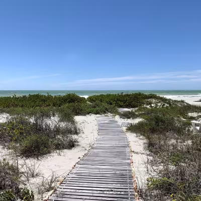 Sea Palms and Sea Oats Captiva