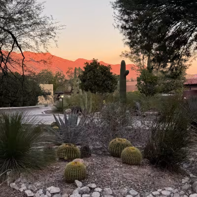 Canyon Ranch