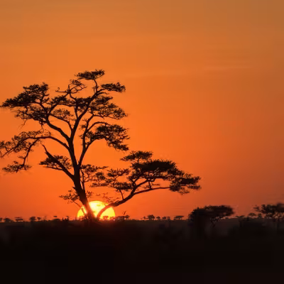 Sunset  Rwanda & Tanzania 