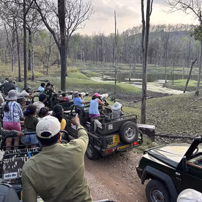 Tiger Safari India