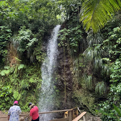 St. Lucia Waterfall 