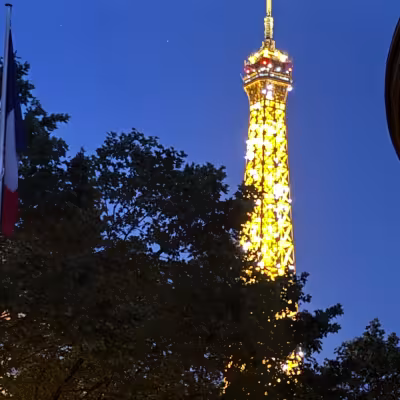 Illuminated Eiffel Tower sparkling above the trees on a clear Paris night