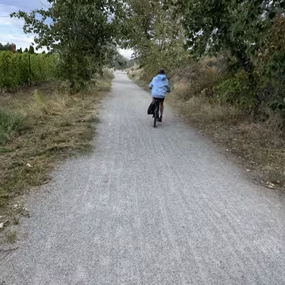 Cyclist riding along a gravel trail lined with trees and vineyards in the Okanagan Valley