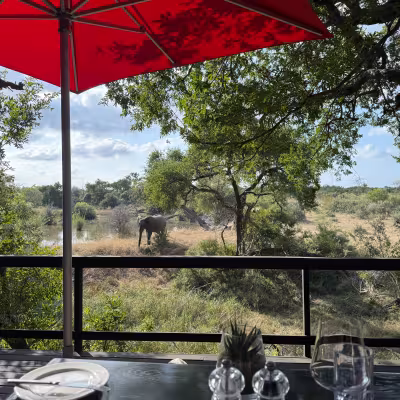 lunch at Royal Melewane Lodge red umbrella