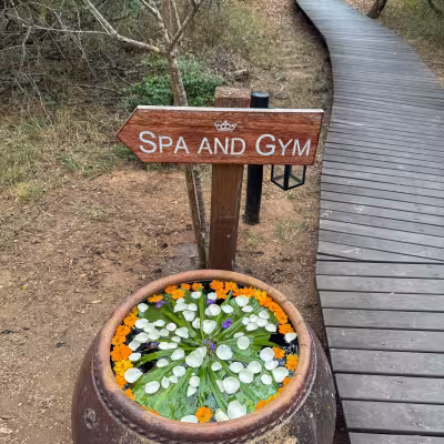 spa at melewane lodge in south africa