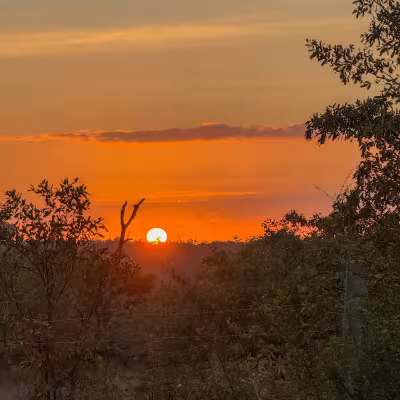sunrise in the bush on safari