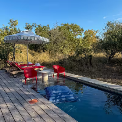 Masiya's Camp at Royal Malewane