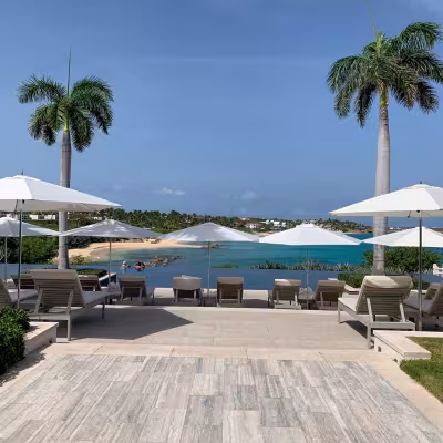 Infinity pool, palm trees, and Caribbean Sea view at Four Seasons Resort Anguilla