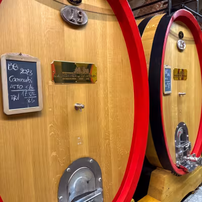 Close-up of wooden wine barrels at Marchesi di Barolo winery in Piedmont, Italy