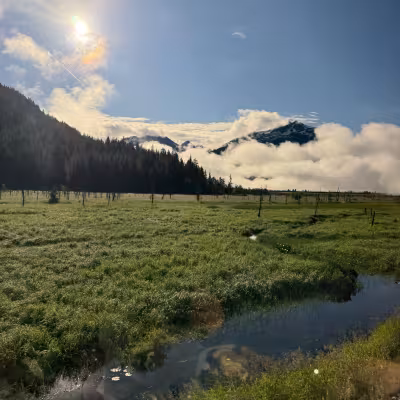 Sunlit green marshland and misty peaks viewed from the Alaska Railroad train window
