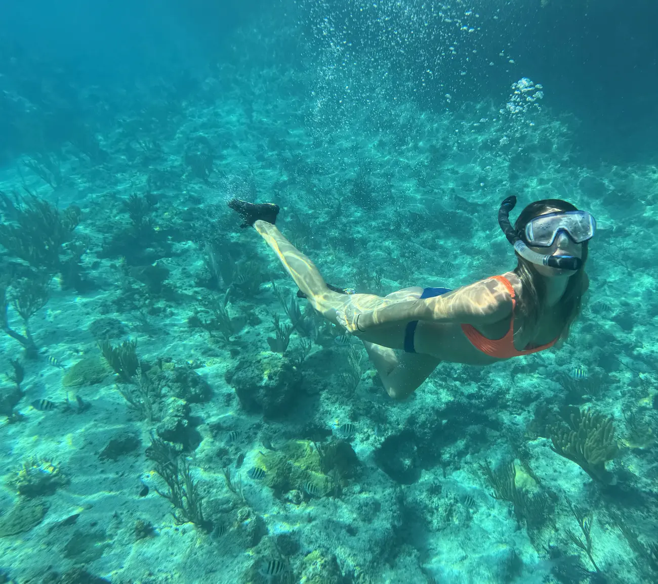 snorkeling exumas bahamas