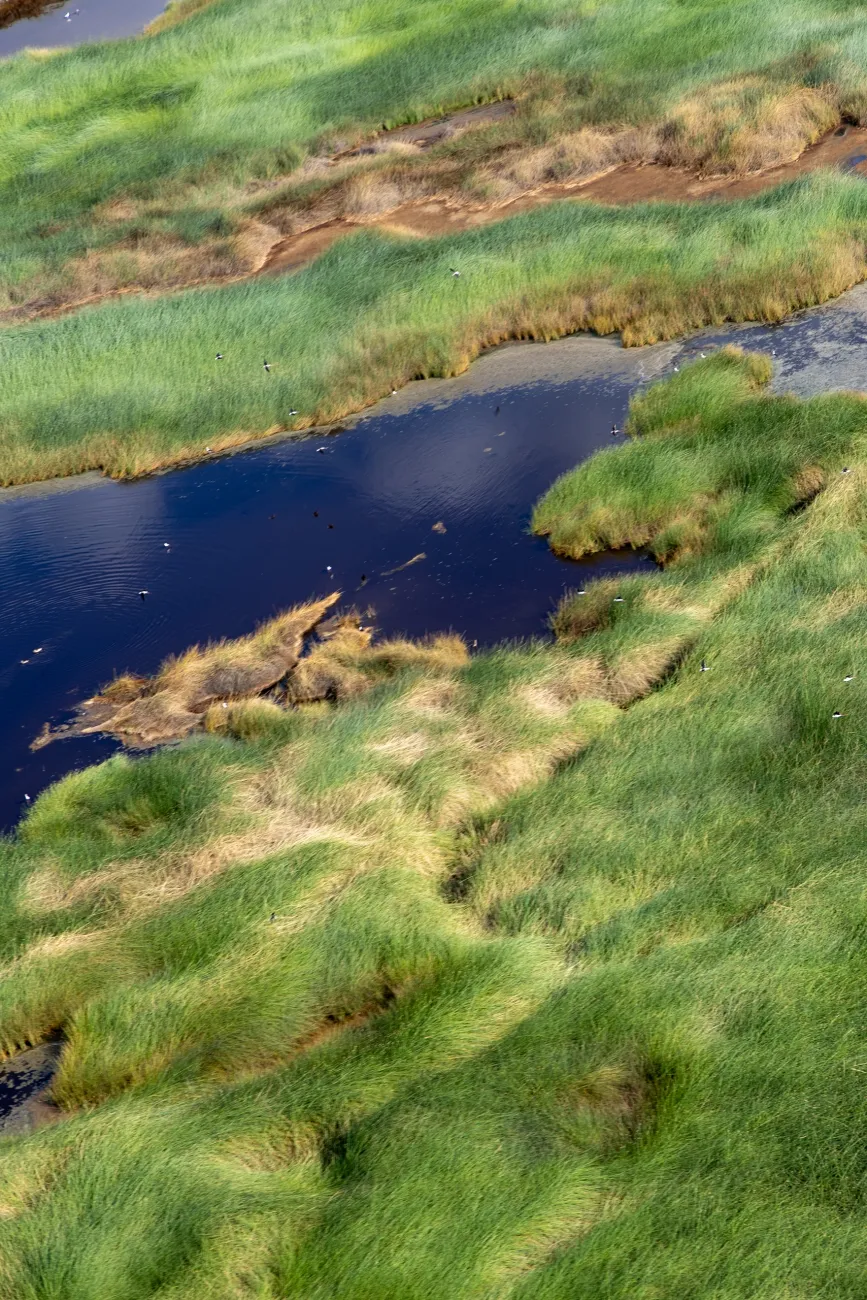 Helicopter Suyian Kenya