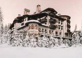 Les airelles Courcheval 